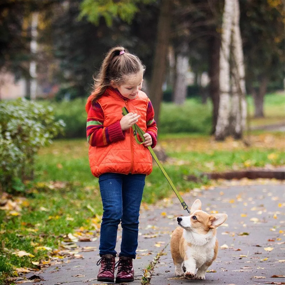 DOCO® 4ft Martini Bean Nylon Dog Leash